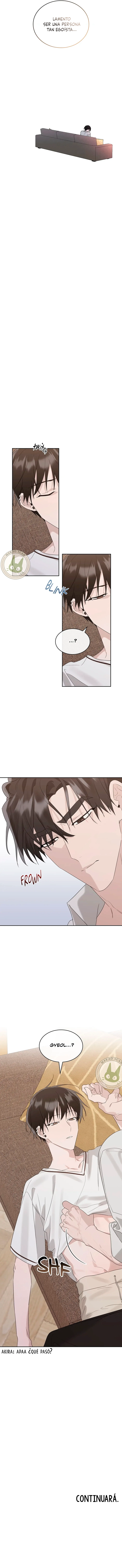 assets image