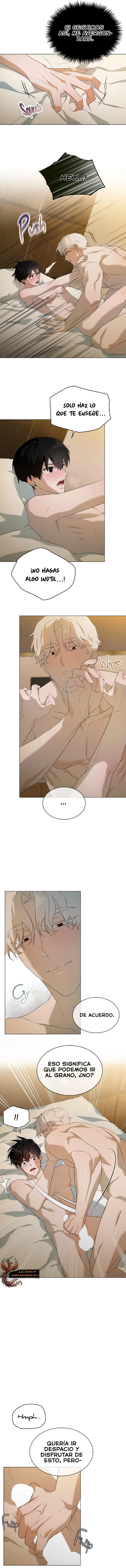 assets image