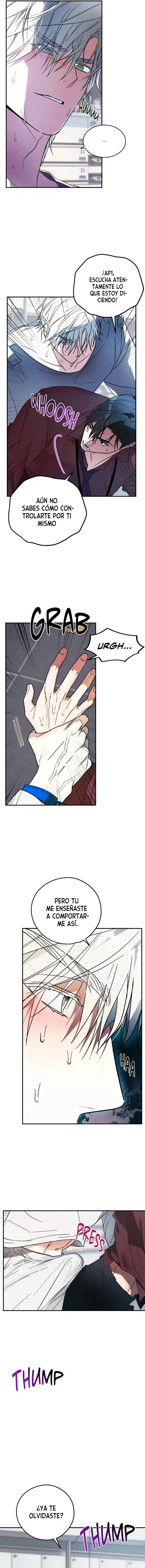 assets image