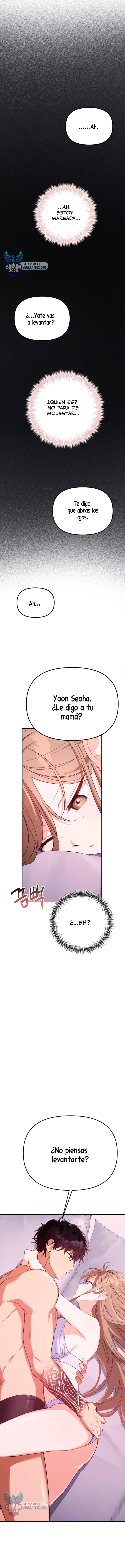 assets image