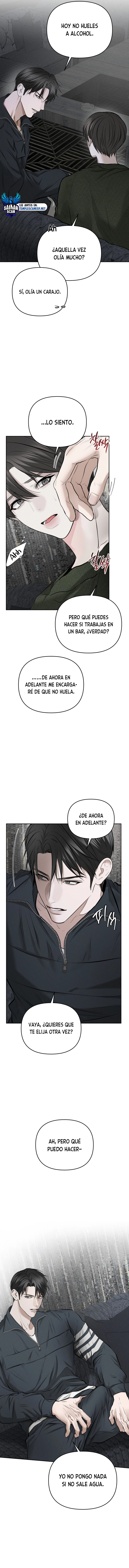 assets image