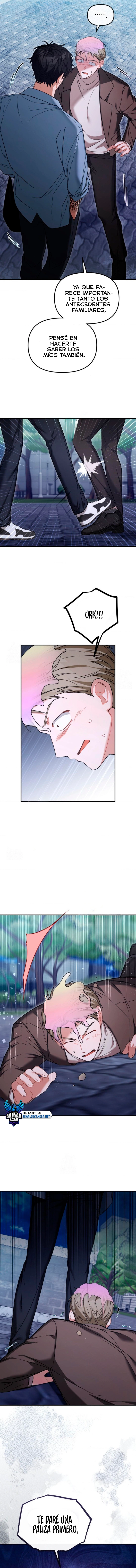 assets image