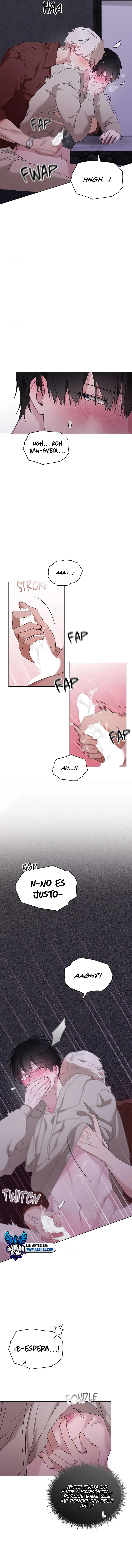 assets image