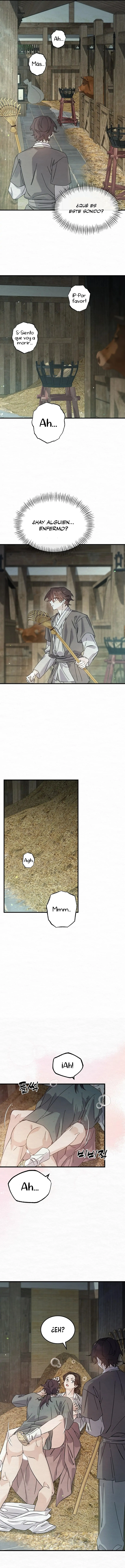 assets image