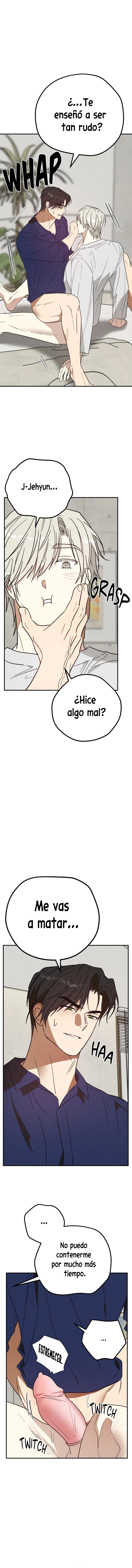 assets image