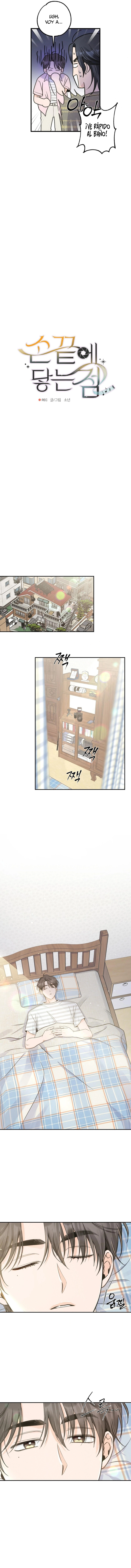 assets image
