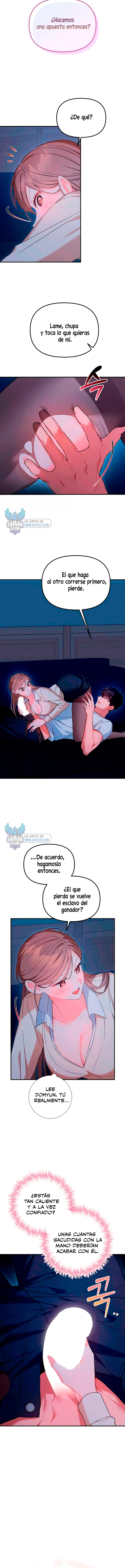 assets image