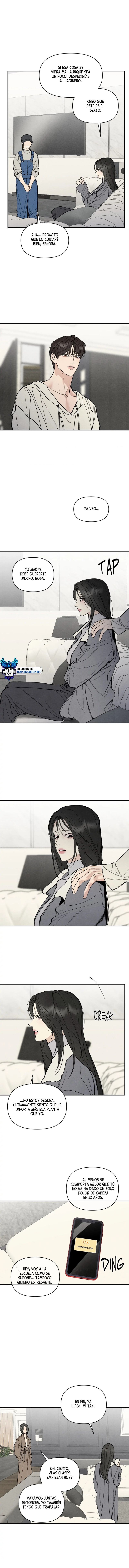 assets image