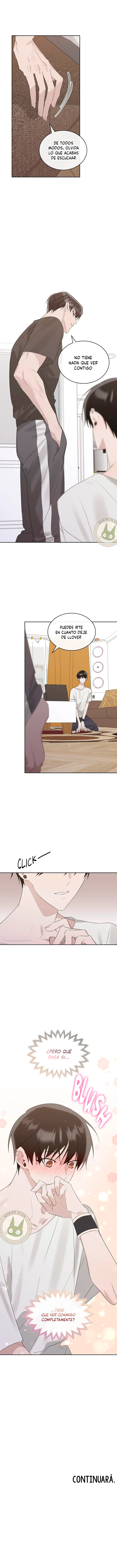 assets image