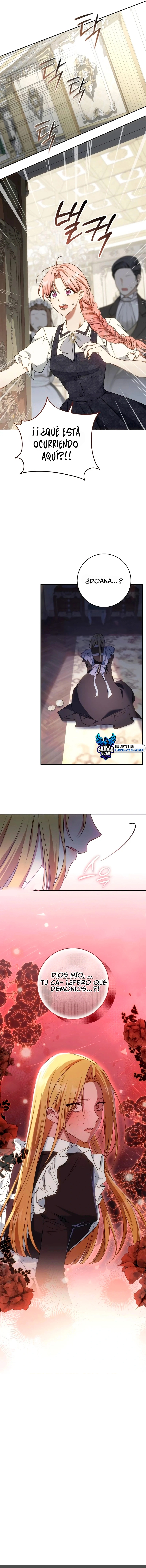 assets image