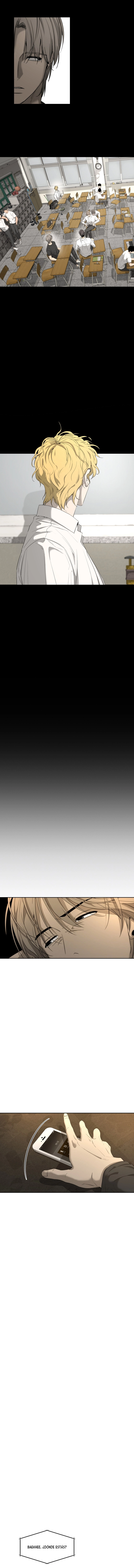 assets image