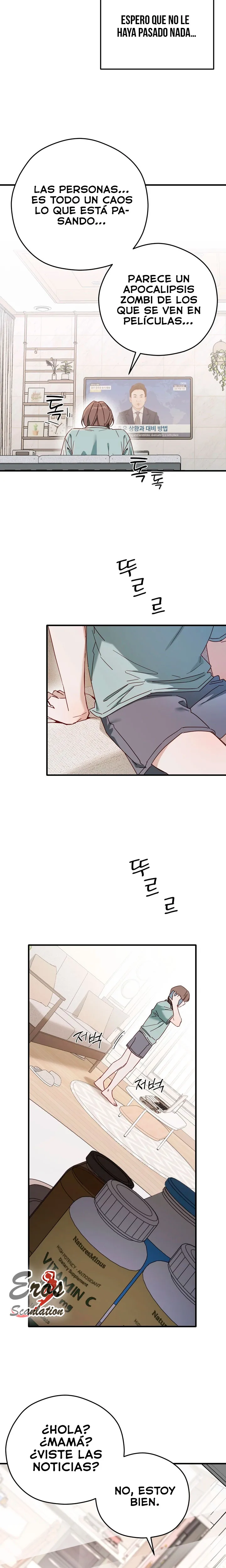 assets image