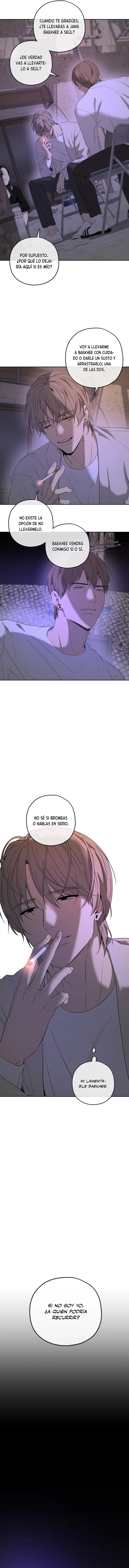 assets image