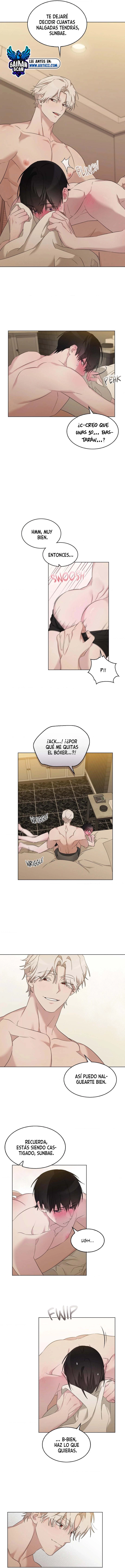 assets image