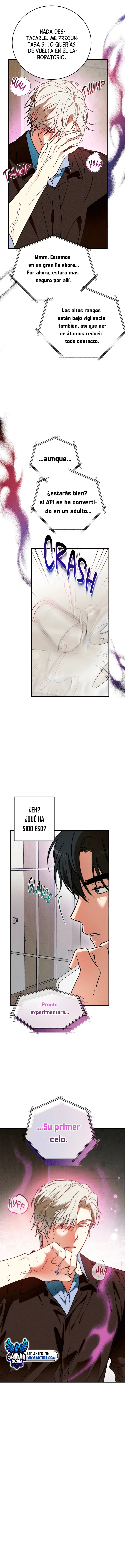 assets image