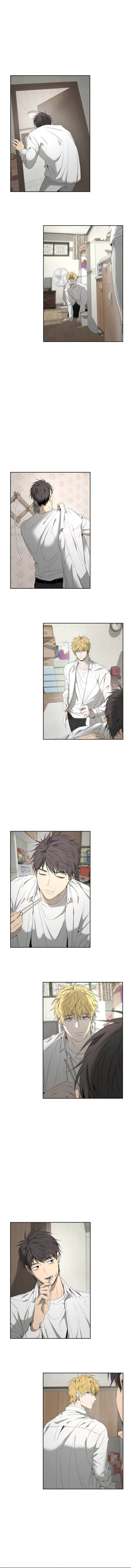 assets image