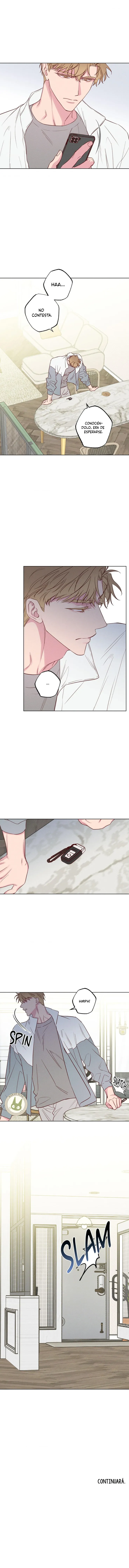 assets image