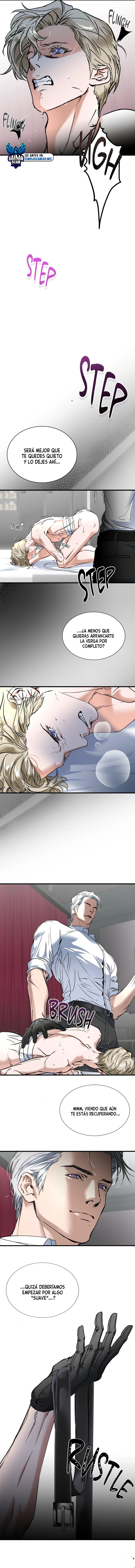 assets image