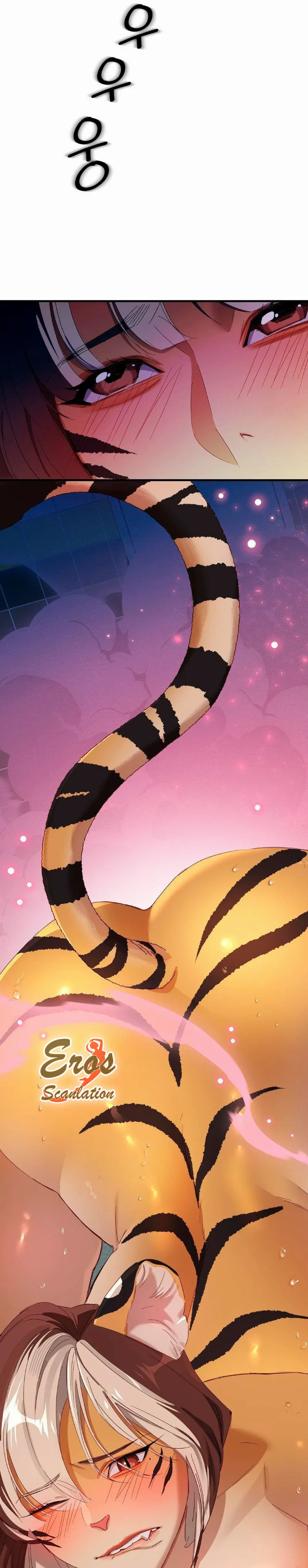 assets image