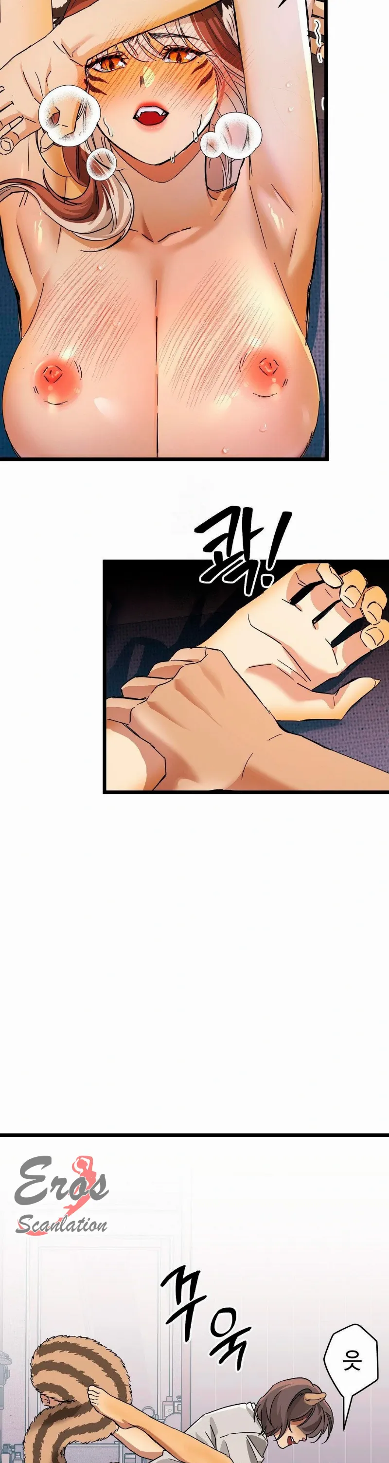 assets image