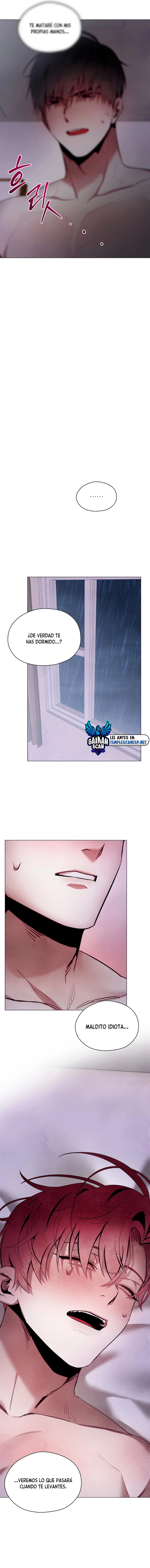assets image