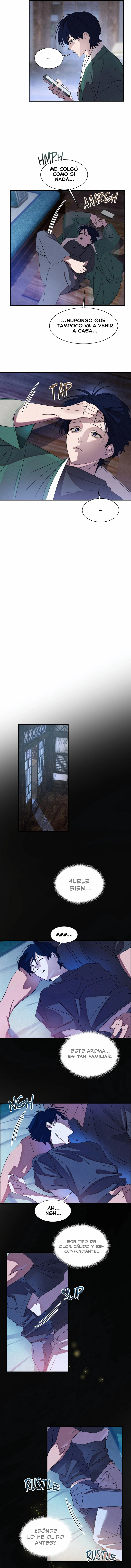 assets image