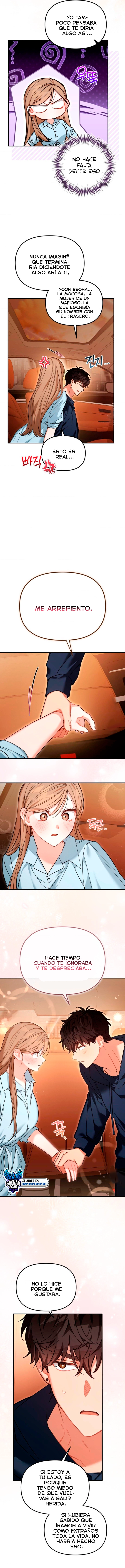 assets image