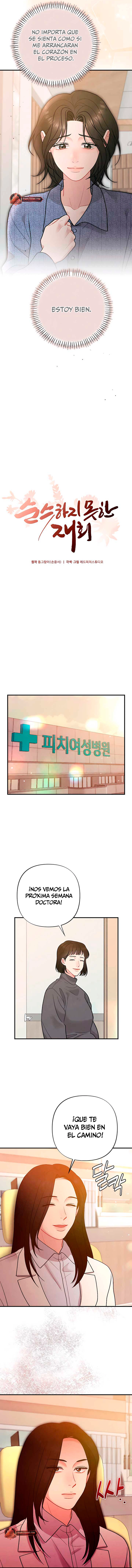 assets image