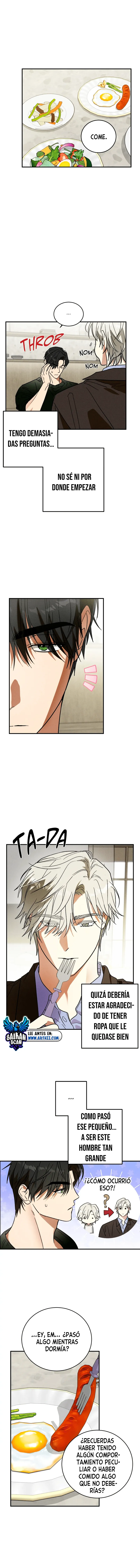 assets image