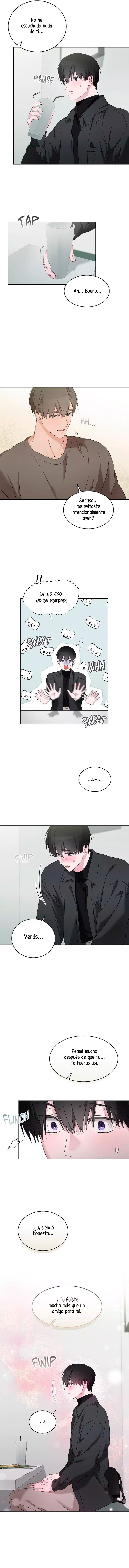 assets image