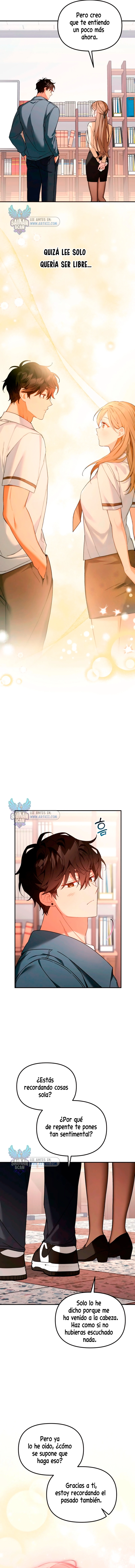 assets image
