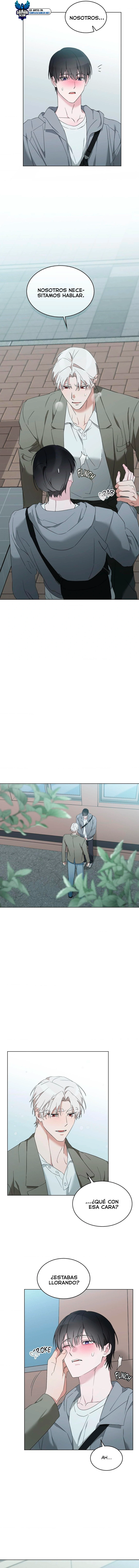 assets image