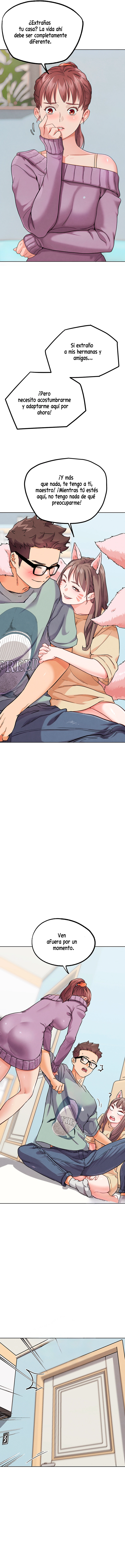 assets image