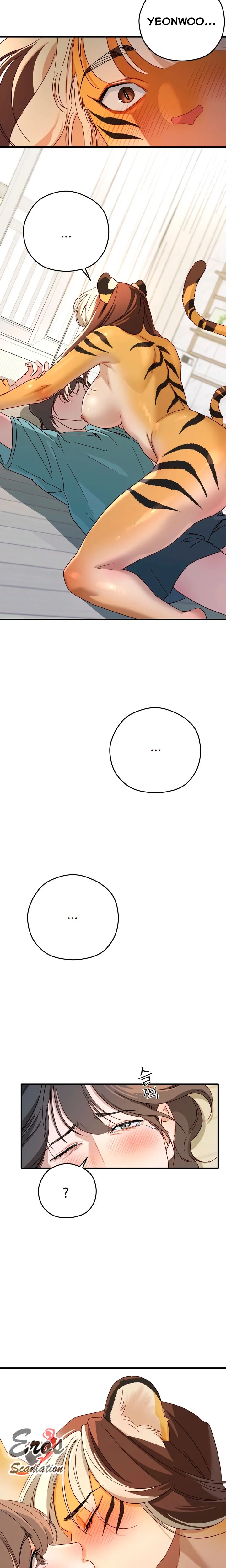 assets image