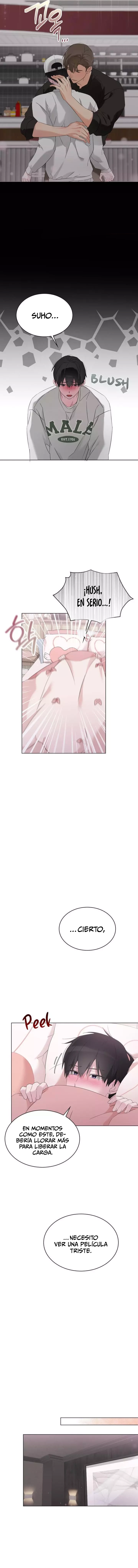 assets image