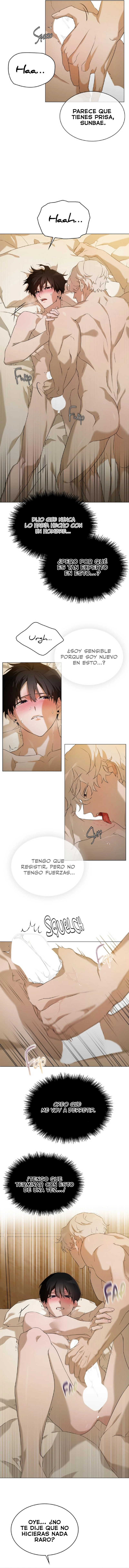assets image