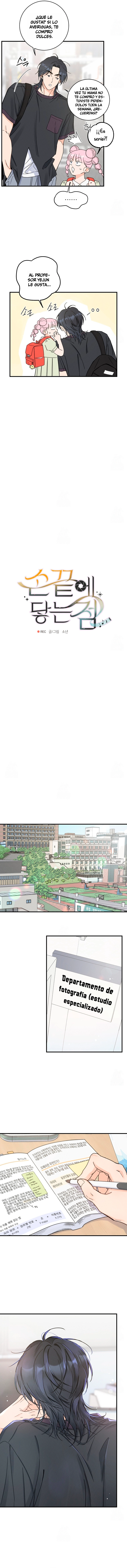 assets image