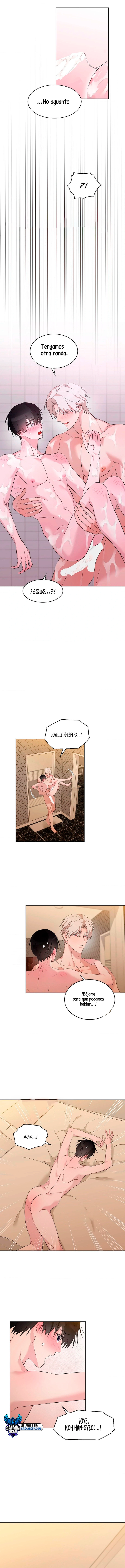 assets image