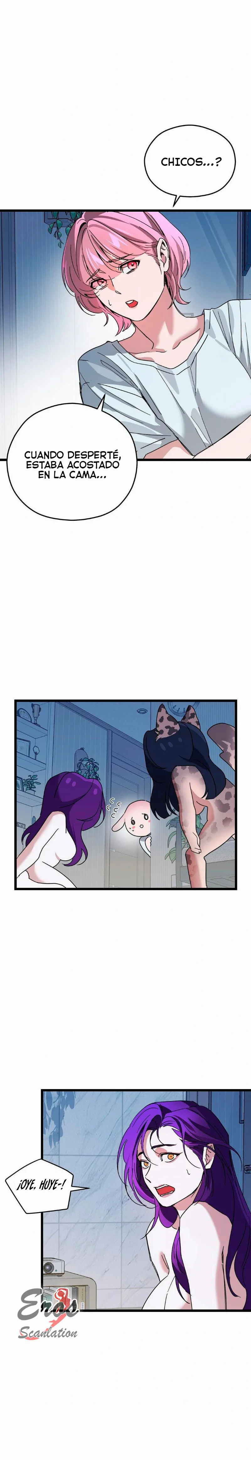 assets image