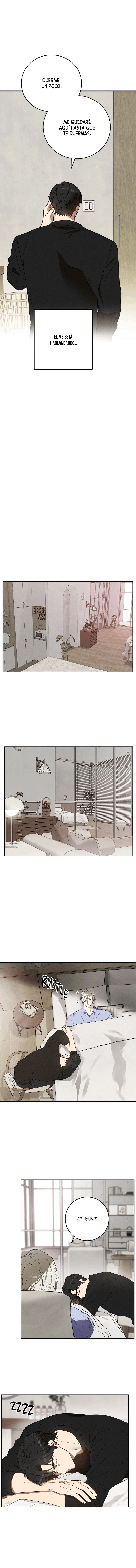 assets image