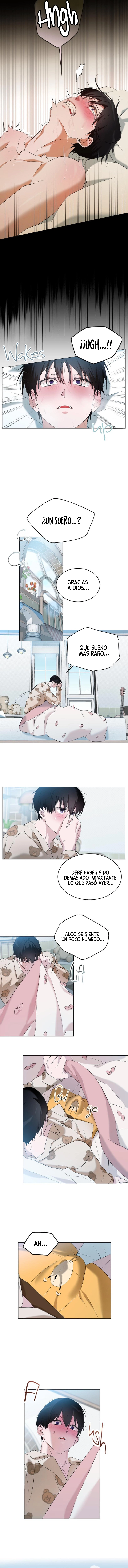 assets image
