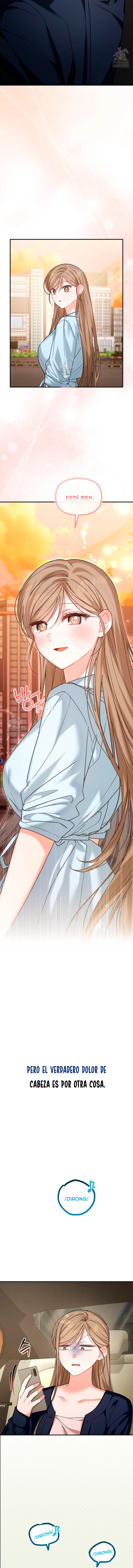 assets image