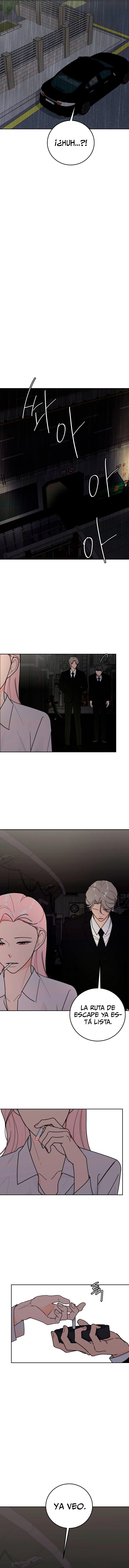 assets image