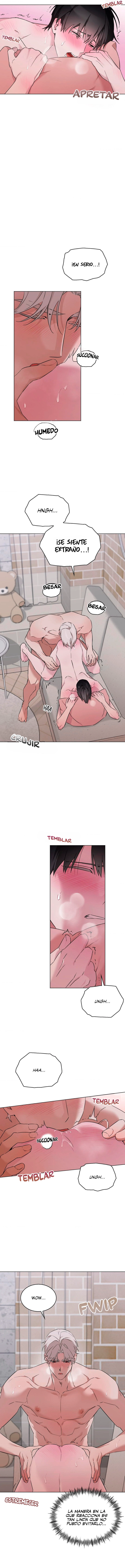 assets image