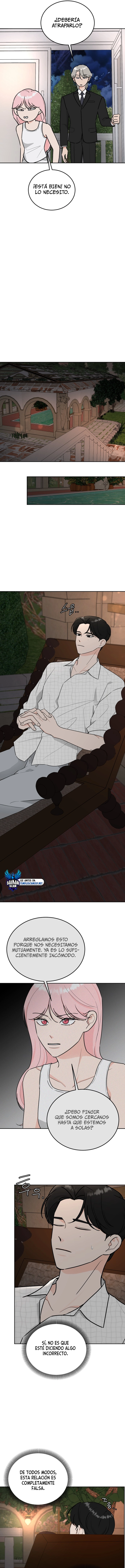 assets image