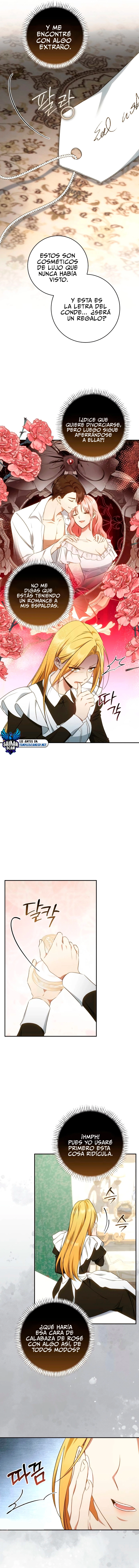 assets image
