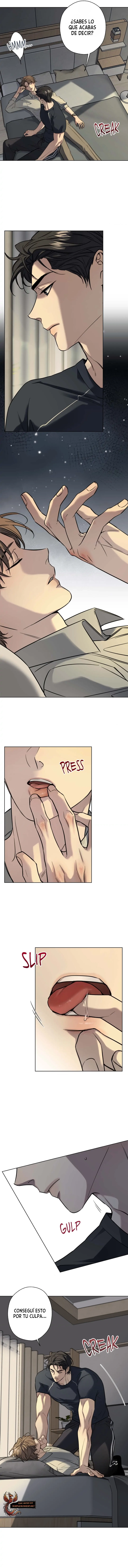 assets image