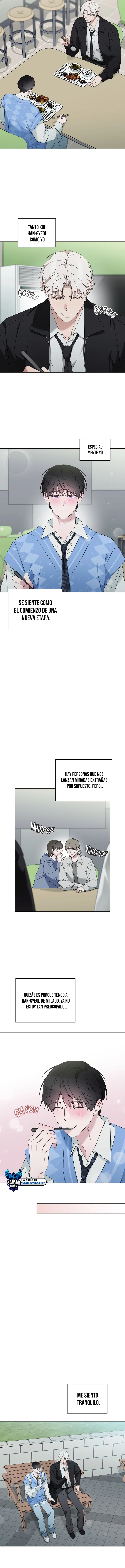 assets image