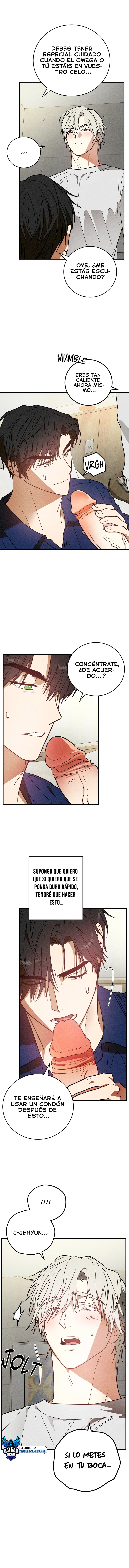 assets image