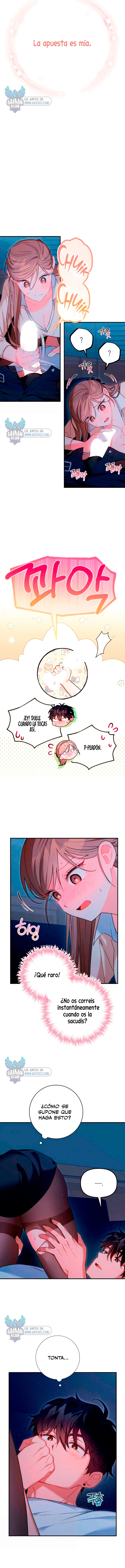 assets image